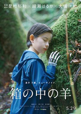 盒子里的羊