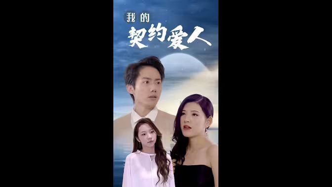 我的契约爱人第61-80集