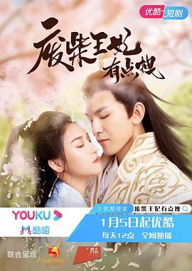 废柴王妃有点拽第03集