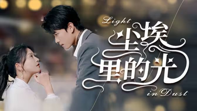 尘埃里的光第21-40集