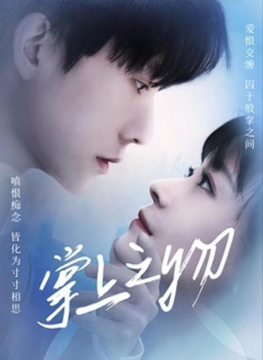 掌上之物第06集