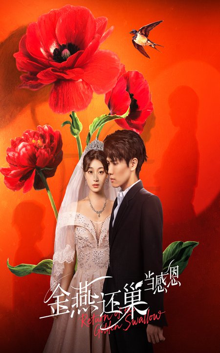 金燕还巢当感恩(全集)