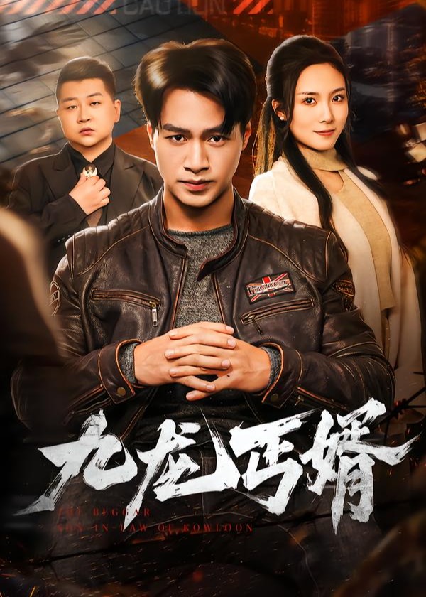 九龙丐婿(全集)