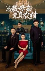 总裁母亲来自农村第01集