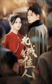 北城有佳人第31-59集(大结局)