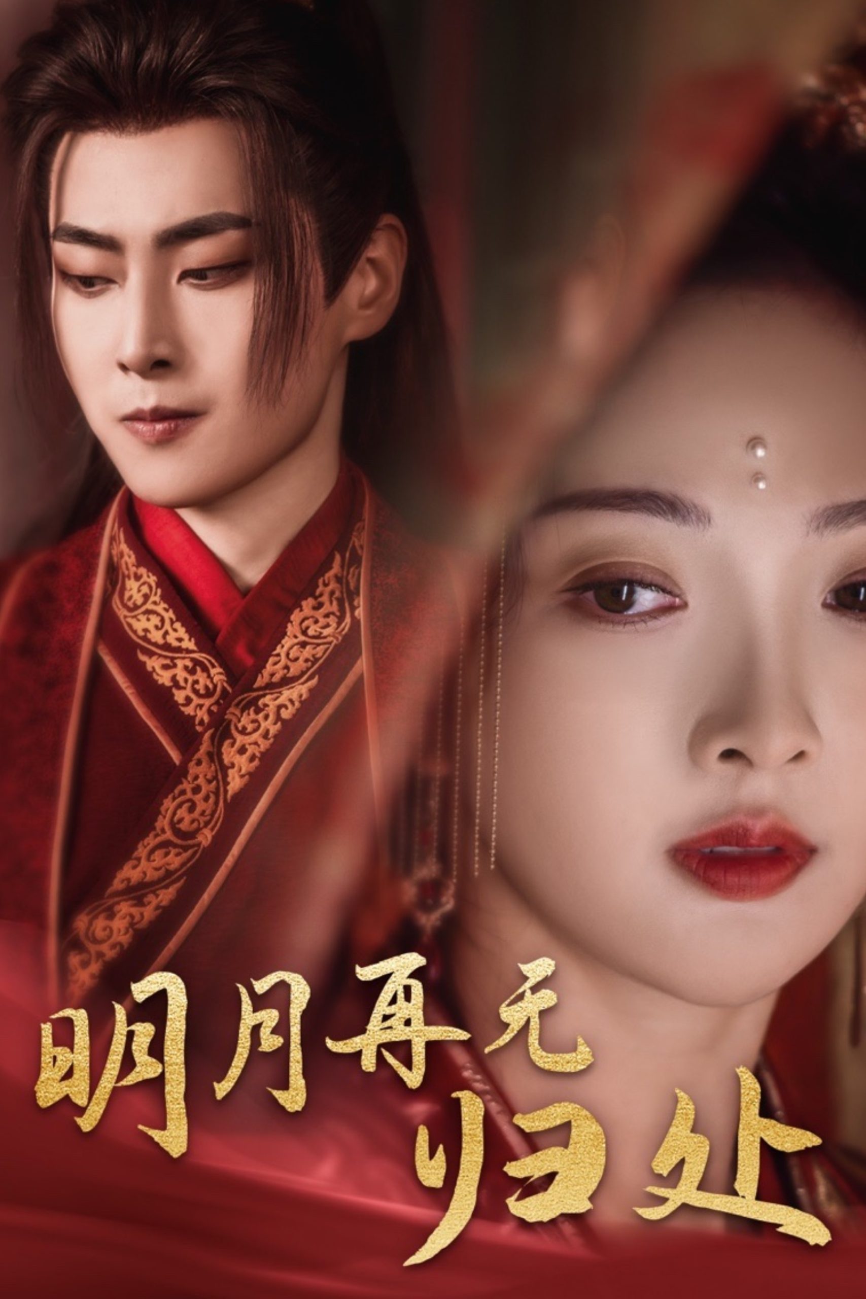 明月再无归处第01-39集(大结局)